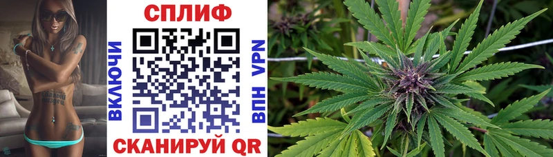 Конопля план  Верхотурье 